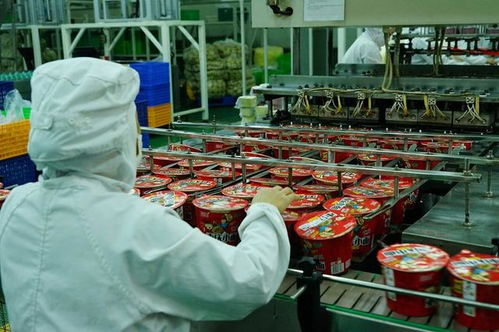 四川白家食品A輪融資1.1億元 疫情之下方便食品行業(yè)迎來(lái)新機(jī)遇